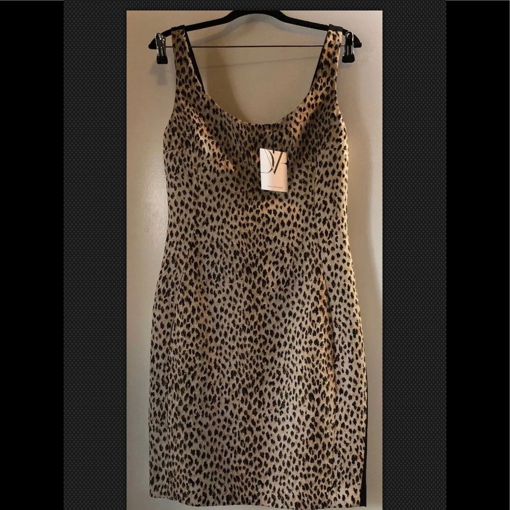 Diane Von Furstenberg Leopard Dress
